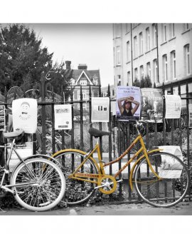 Leia ou pedale (p&b + yellow) | Cambridge - Inglaterra (CIH)